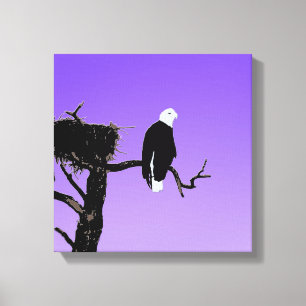 Bald Eagle at Sunset - Ursprüngliche Naturkunde Leinwanddruck