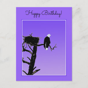 Bald Eagle at Sunset - Ursprüngliche Naturkunde Postkarte