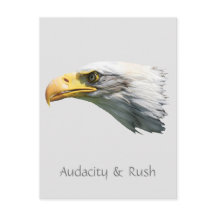 Bald Eagle Audacity & Rush individuell anpassbar