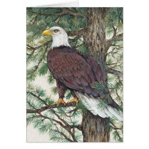 Bald Eagle auf Zweig
