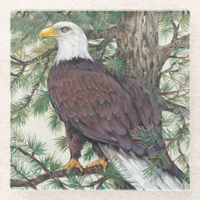 Bald Eagle auf Zweig Glasuntersetzer (Vorderseite)