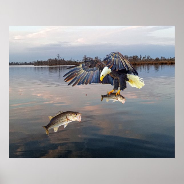 Bald Eagle Bass Fishing Poster (Vorne)