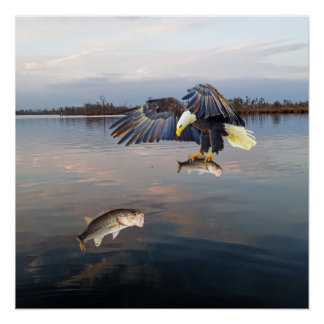 Bald Eagle Bass Fishing Poster