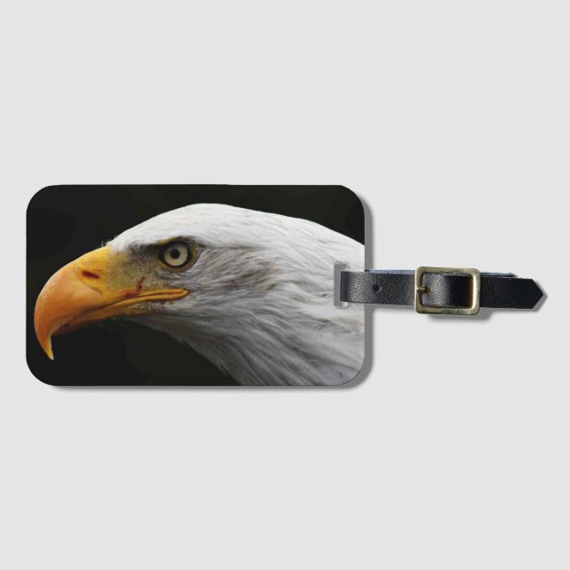 Bald Eagle bc ltm Gepäckanhänger (Vorderseite (Horizontal))