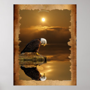 Bald Eagle bei Sunset Gratitude Series Poster