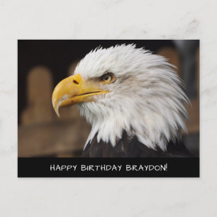 Bald Eagle Birthday Postcard Postkarte
