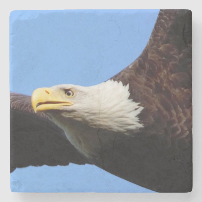 Bald Eagle Blue Sky Steinuntersetzer (Vorderseite)
