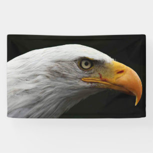 Bald Eagle bnrcn Banner