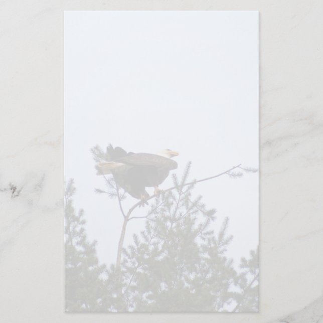Bald Eagle Briefpapier (Vorderseite)