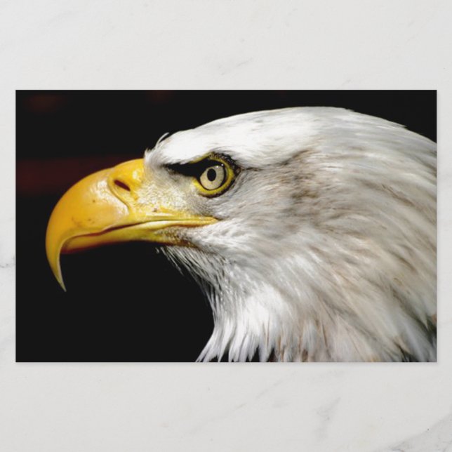 Bald Eagle Briefpapier (Vorderseite)