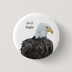Bald Eagle Button