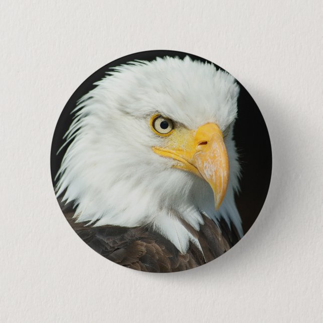 Bald Eagle Button (Vorderseite)