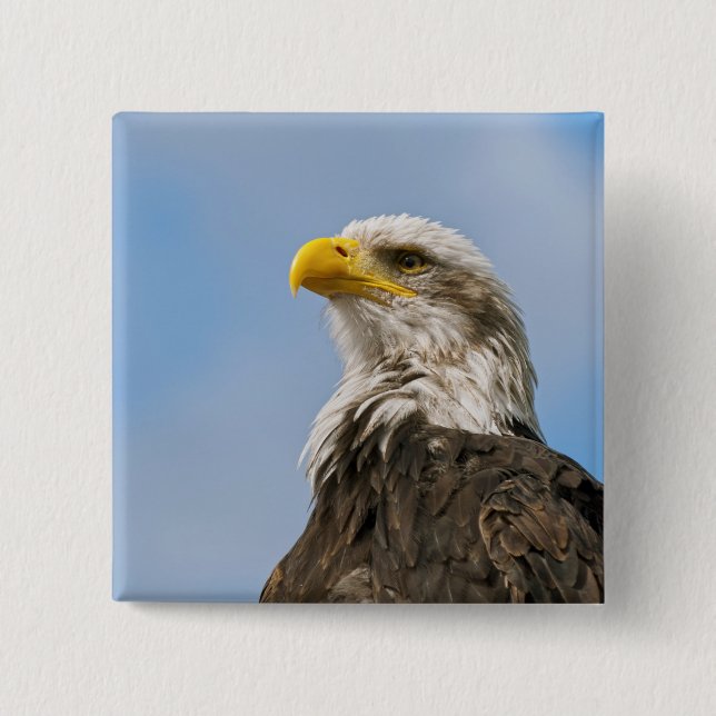 Bald Eagle Button (Vorderseite)