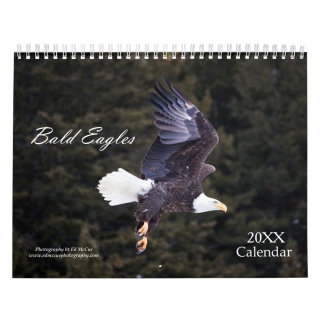 Bald Eagle Calendar Kalender (Titelbild)