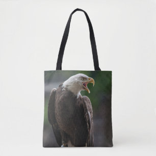 Bald Eagle Calling