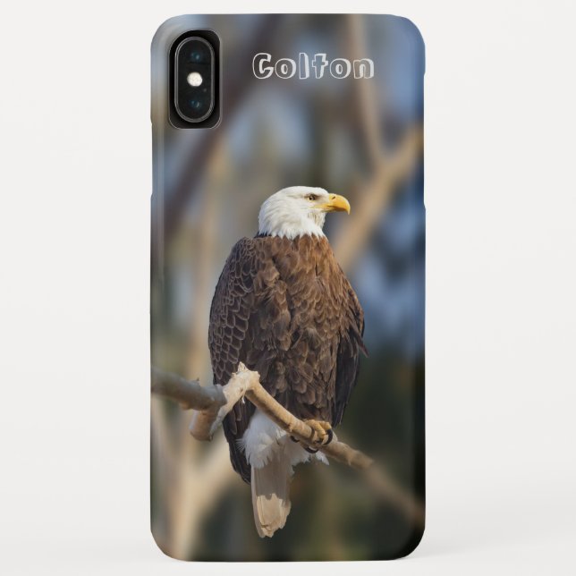 Bald Eagle Case-Mate iPhone Hülle (Rückseite)