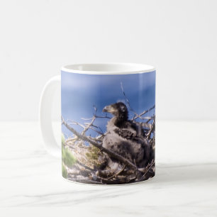 Bald Eagle Chick - Tasse