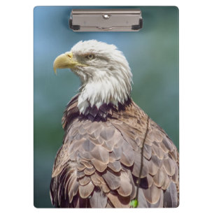 Bald Eagle Clipboard Klemmbrett