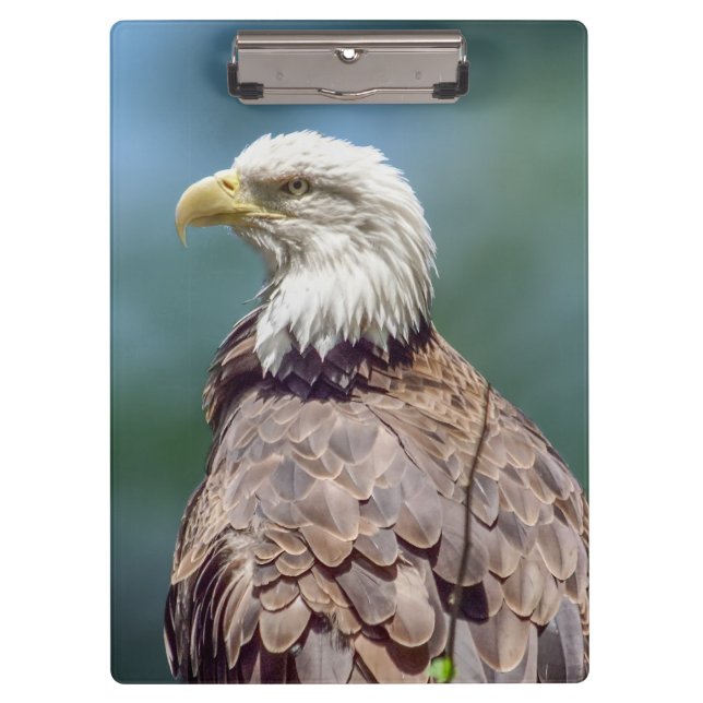 Bald Eagle Clipboard Klemmbrett (Vorderseite)