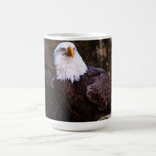 Bald Eagle Coffee Tasse