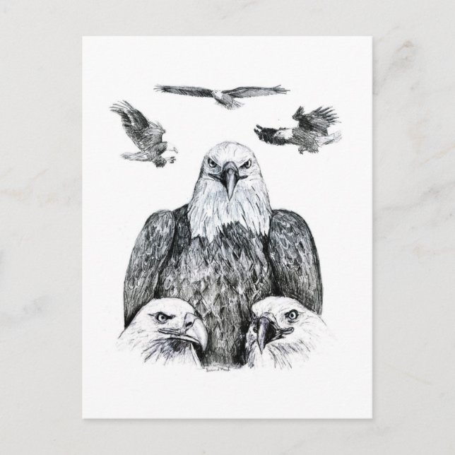 Bald Eagle Collage Stift zeichnend Zeichnung Postkarte (Vorderseite)