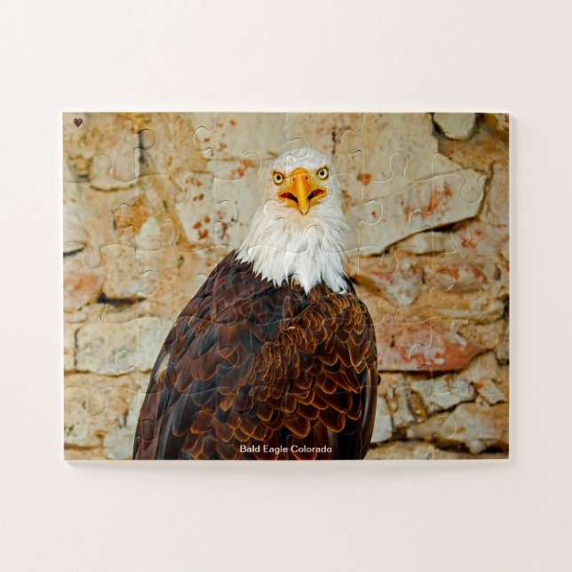 Bald Eagle Colorado Puzzle (Horizontal)