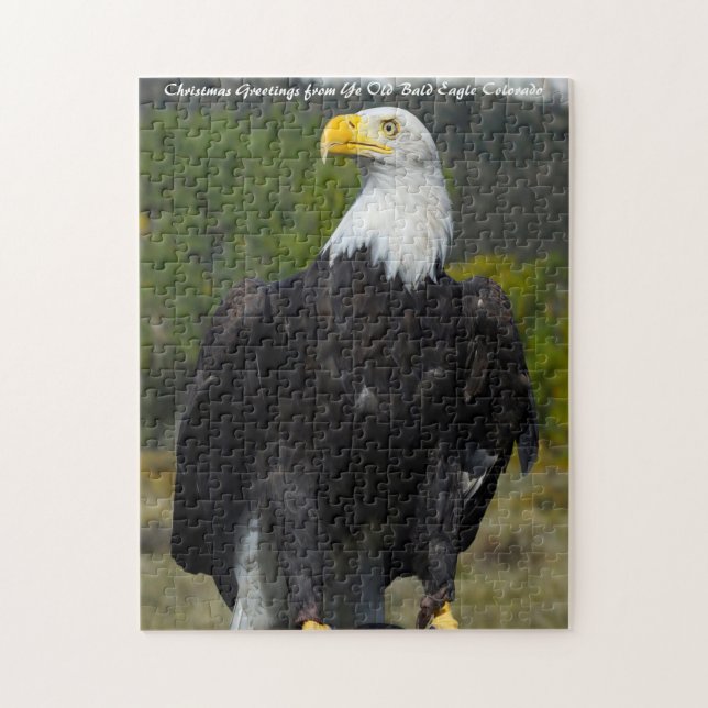 Bald Eagle Colorado.Weihnachtsgrüße Puzzle (Vertikal)