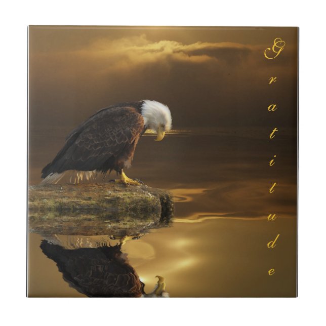 Bald Eagle Dankbarkeit Decorative Tile Fliese (Vorderseite)