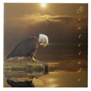 Bald Eagle Dankbarkeit Größere dekorative Tile Fliese
