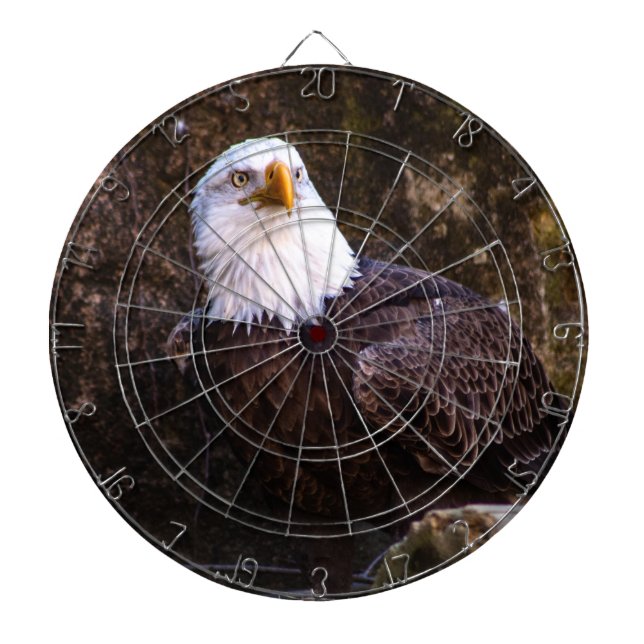 Bald Eagle Dartscheibe (vorne)