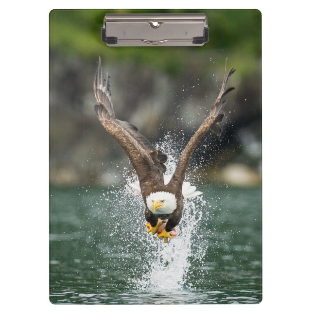 Bald Eagle Der große Fang Klemmbrett (Vorderseite)