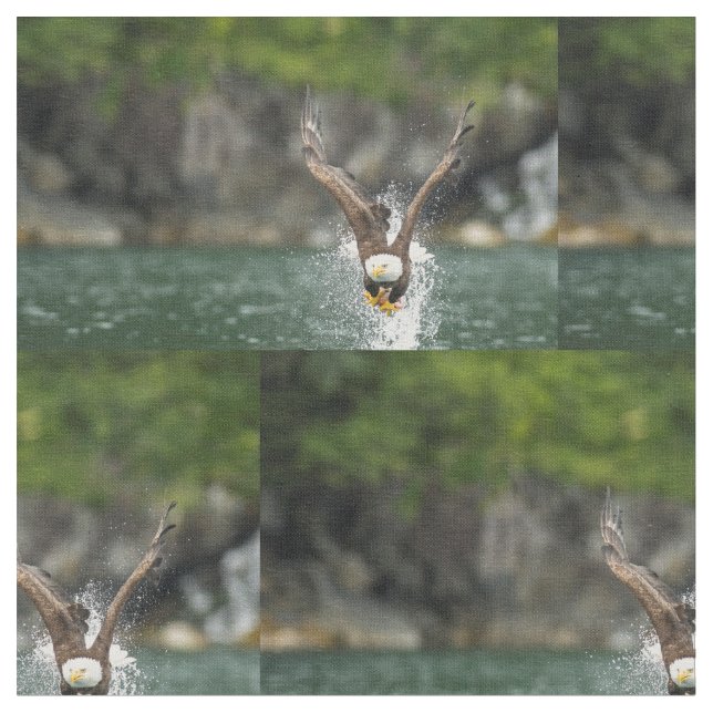 Bald Eagle Der große Fang Stoff (Nahaufnahme)