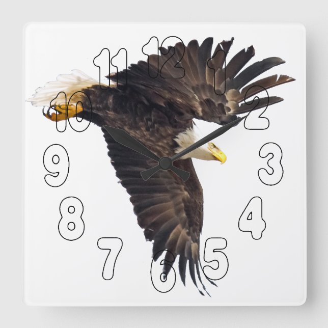Bald Eagle Dive Quadratische Wanduhr (Vorderseite)