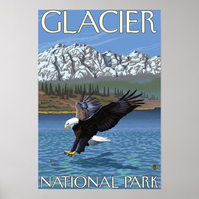 Bald Eagle Diving - Glacier National Park, MT Poster (Vorne)