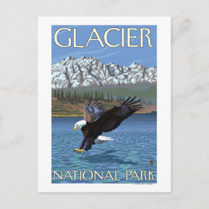Bald Eagle Diving - Glacier National Park, MT Postkarte