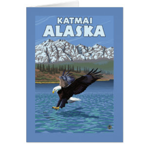 Bald Eagle Diving - Katmai, Alaska
