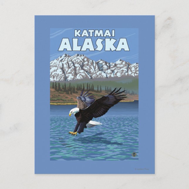 Bald Eagle Diving - Katmai, Alaska Postkarte (Vorderseite)