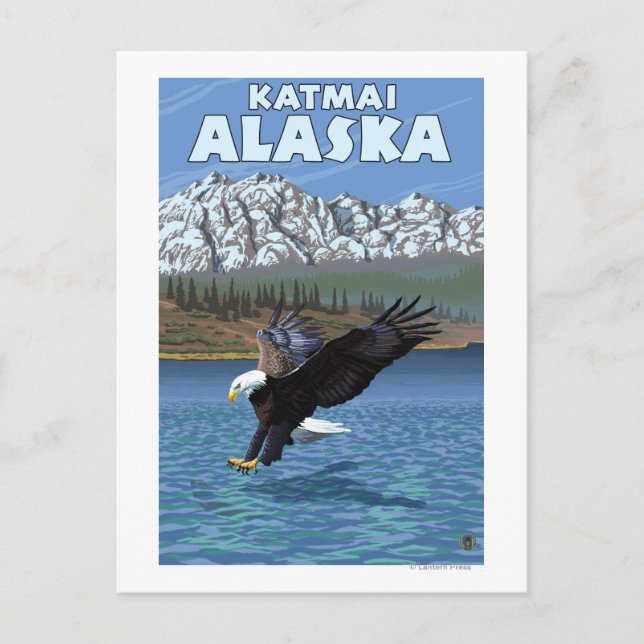 Bald Eagle Diving - Katmai, Alaska Postkarte (Vorderseite)