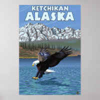 Bald Eagle Diving - Ketchikan, Alaska