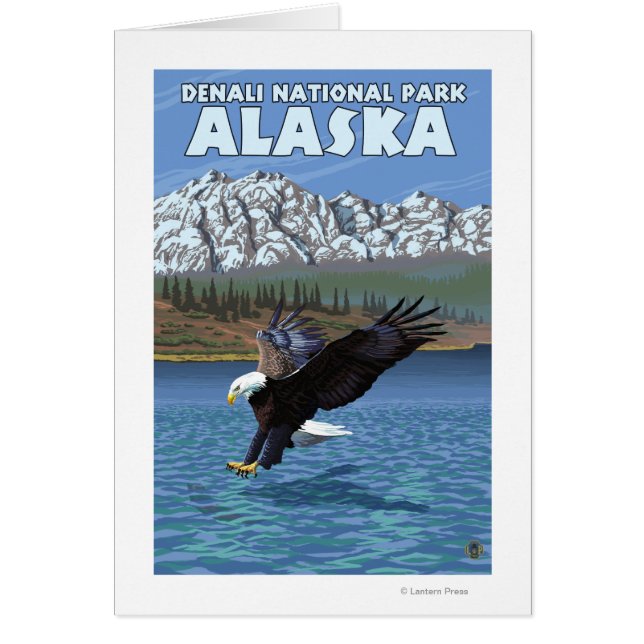 Bald Eagle Diving - Nationalpark Denali, Alaska (Vorne)