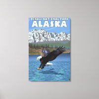 Bald Eagle Diving - Nationalpark Denali, Alaska