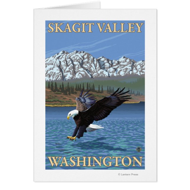 Bald Eagle Diving - Skagit Valley, Washington (Vorne)