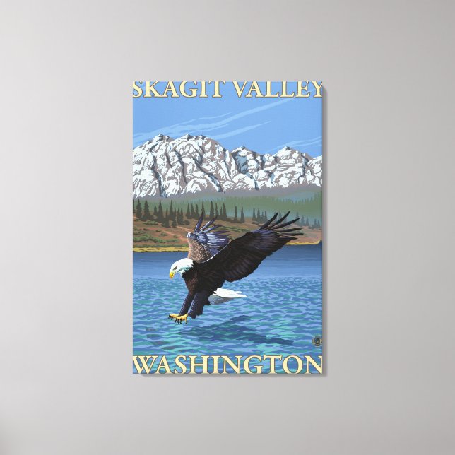Bald Eagle Diving - Skagit Valley, Washington Leinwanddruck (Vorderseite)