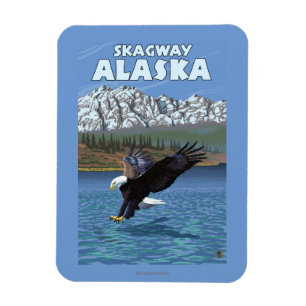 Bald Eagle Diving - Skagway, Alaska Magnet