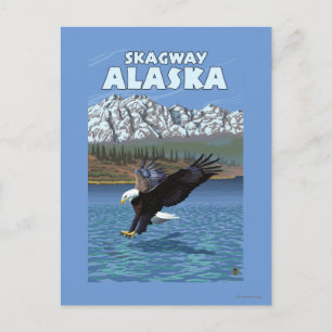 Bald Eagle Diving - Skagway, Alaska Postkarte