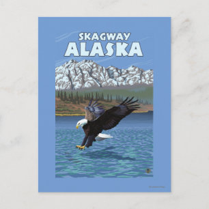 Bald Eagle Diving - Skagway, Alaska Postkarte