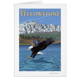 Bald Eagle Diving - West Yellowstone, MT