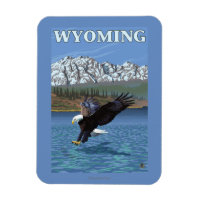 Bald Eagle Diving - Wyoming