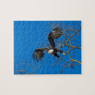 Bald Eagle Drop Puzzle