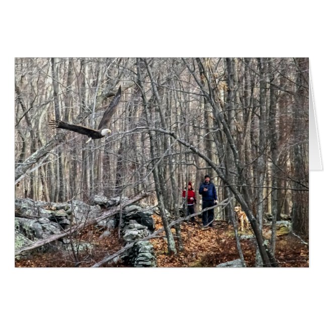 Bald Eagle Encounter (Vorderseite (Horizontal))